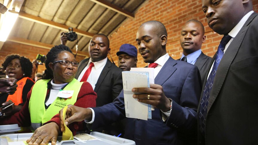 Zimbabwe's main opposition leader Nelson Chamisa casts his vote at a polling station in Harare