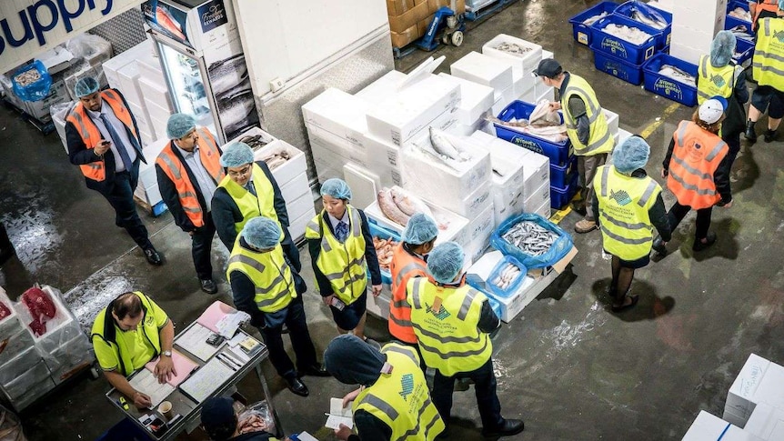 People looking at fish in crates at market.