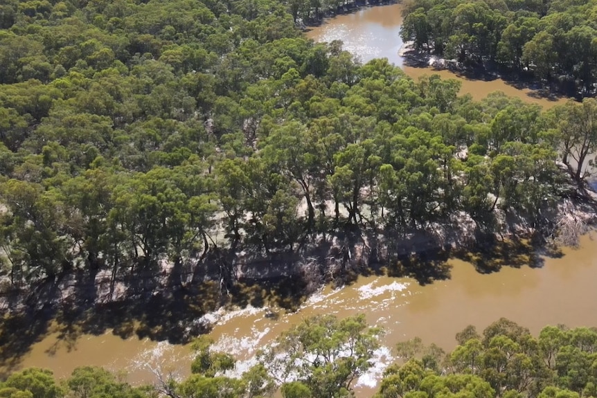 An aerial view of a river winding through a forest.