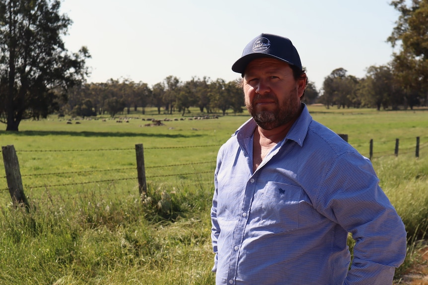 Farmers stands in front of sheep paddock, stern face.