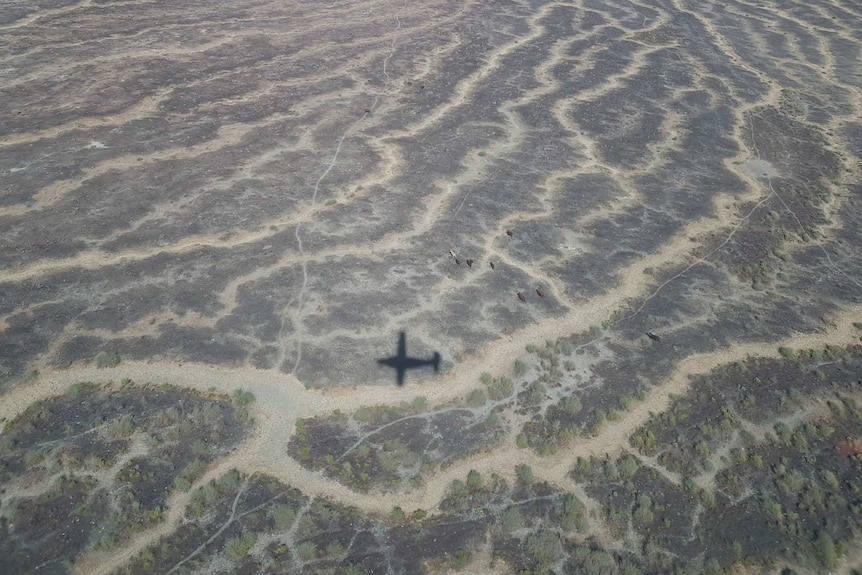 An aerial view of dry, flat country with the marks of channels, and the shadow of a small plane flying overhead.