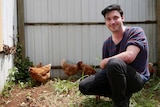 William Gibson with chickens at the care farm in Springbourne