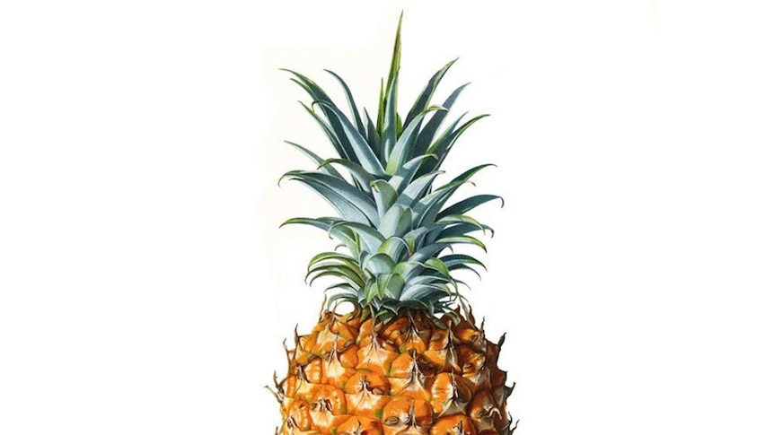 The pineapple artwork was created in water colours.