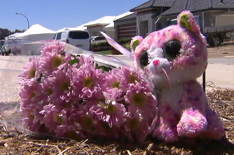 A pink soft toy and flowers out the front of a house.