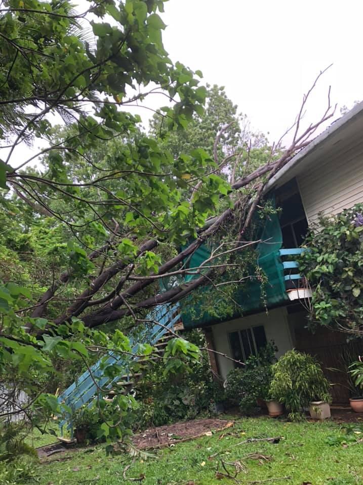 Tree branches lean up against the balcony and roof of a house.