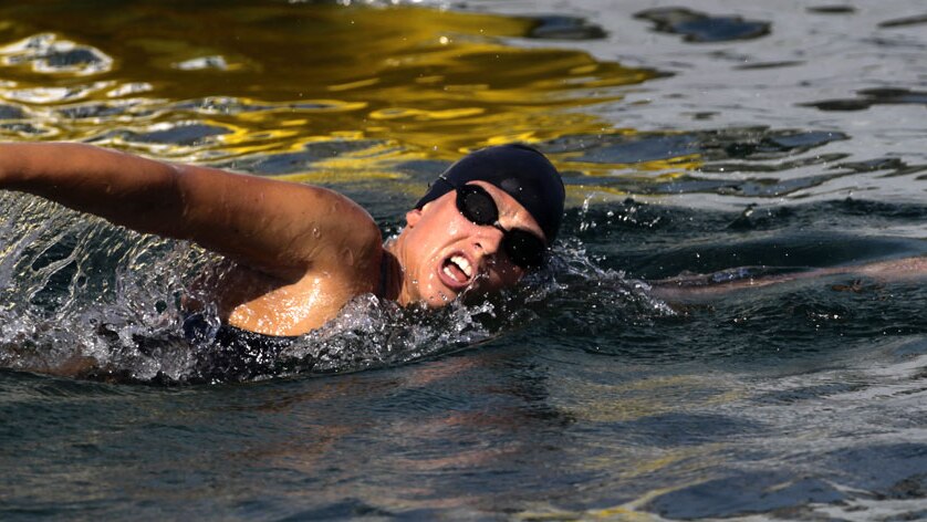 Australian long-distance swimmer Chloe McCardel begins her attempt to swim from Havana in Cuba to Florida in the US.