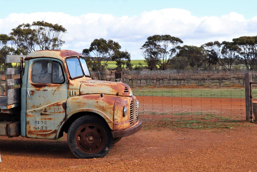 Rusty truck in front of fence, with vineyard in the background.
