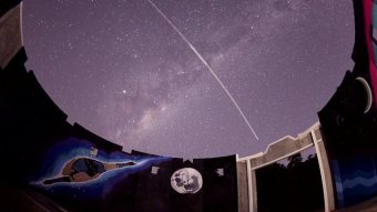 A starry sky above a mural of an emu.