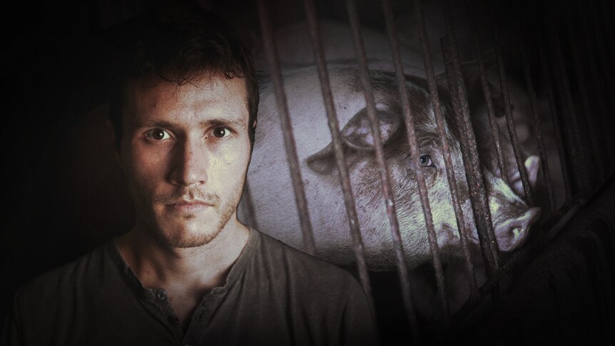 Composite of man and a pig behind a cage.