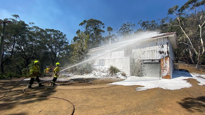 Firefighters spraying white foam over house near bushland.