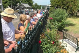 St Patrick's parishioners in Ballarat line up to cut the ribbons off the cathedral's iron fence.