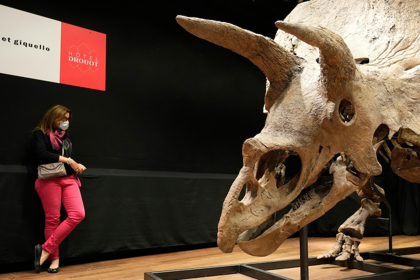 A woman stands next to a display of a dinosaur skeleton in Paris