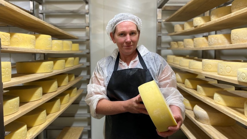 Red Cow Organics general manager Andy Jackman in the cool store with a large wheel of cheese