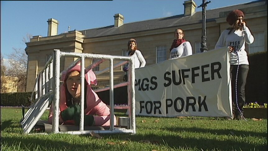 Animal rights activist Clare Knight protests against sow crates in Hobart