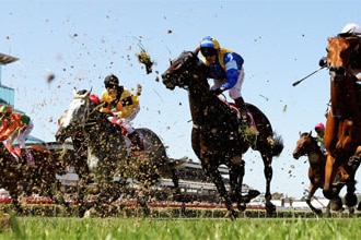 The Melbourne Cup, 2008