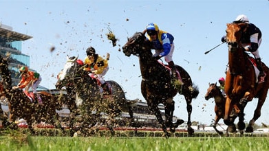 The Melbourne Cup, 2008