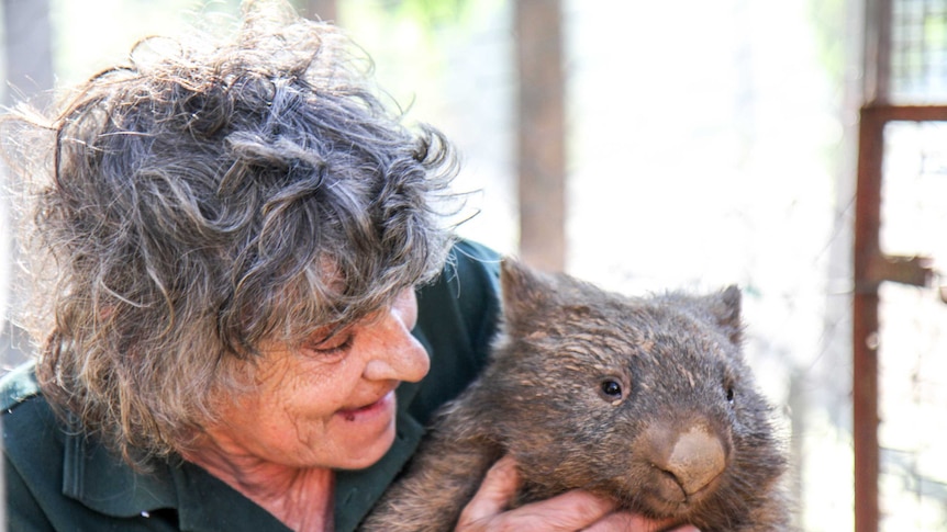 Glenda holds a large wombat.