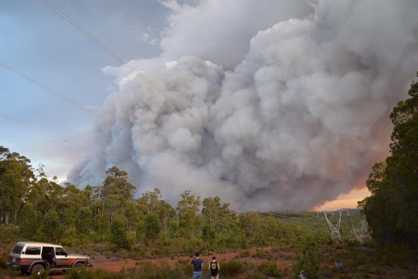 A photo of a smoke from a  bushfire.