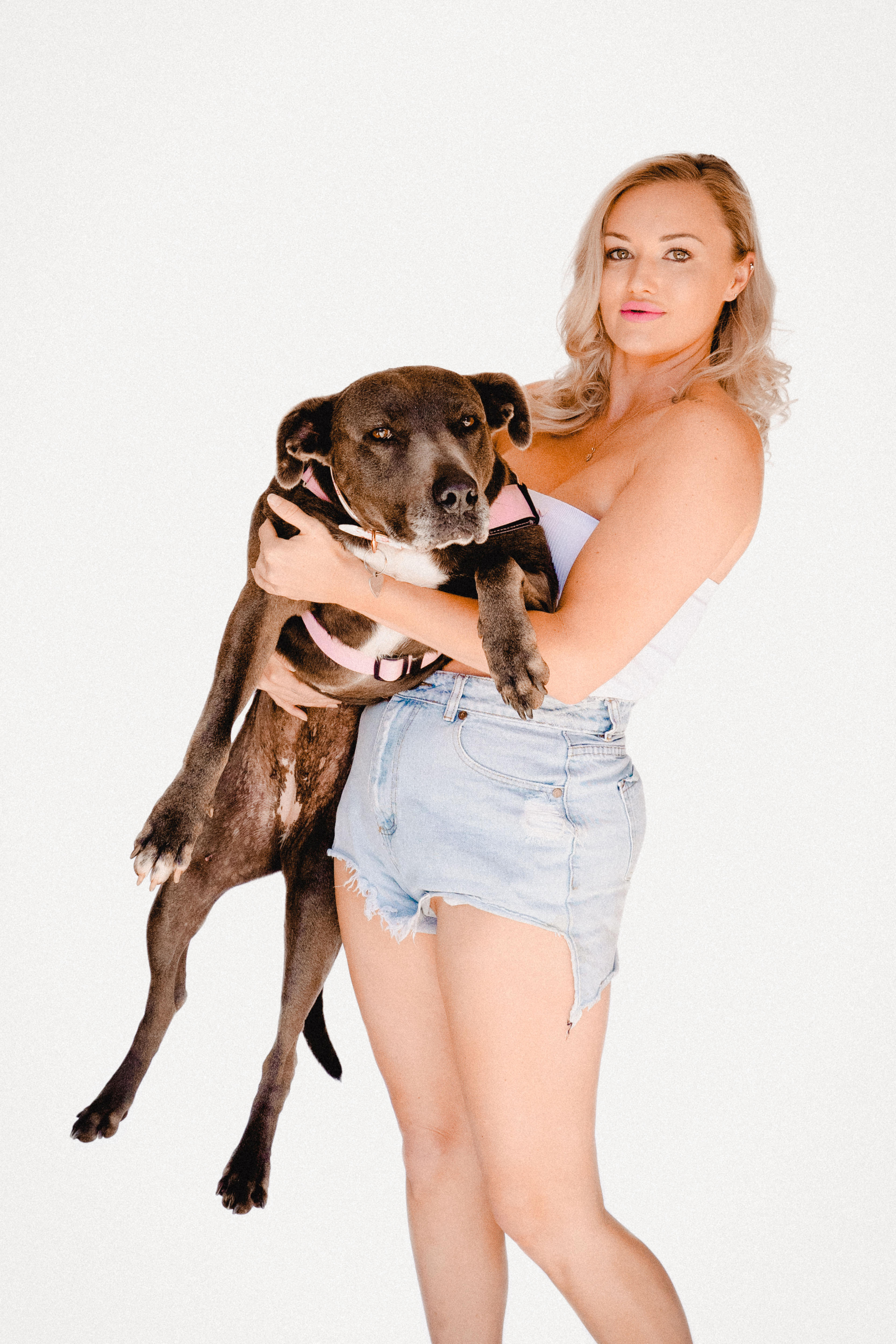 A woman in denim cut off shorts holding a dog against a white background.