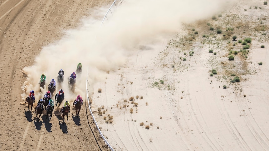 Les initiés des courses de chevaux disent que l’enquête sur les courses de Birdsville jette une ombre sur les événements