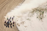 Horses racing on dusty track 