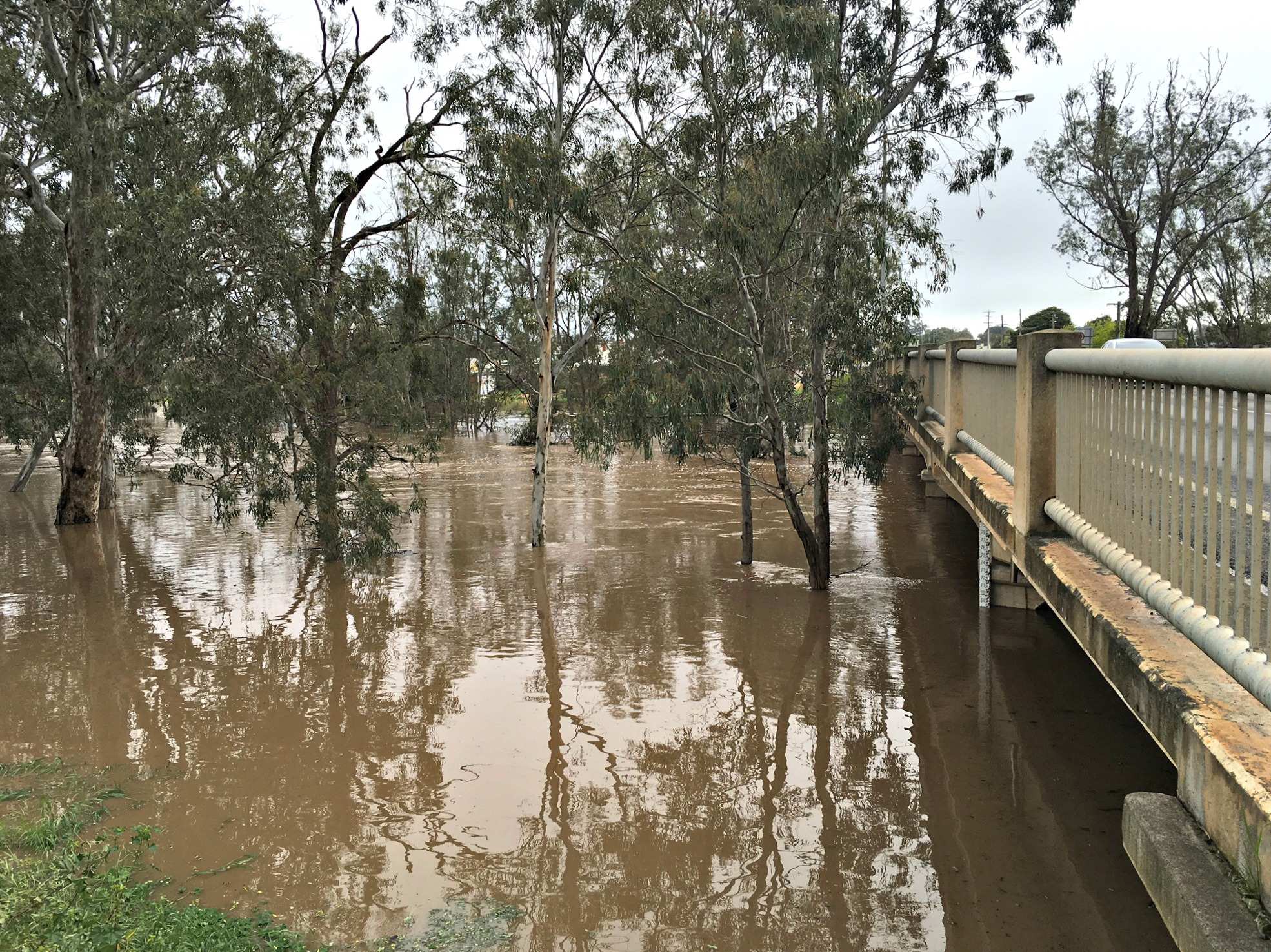 Floodwaters at Charlton in Victoria's north-west