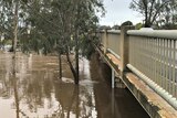 Floodwaters at Charlton in Victoria's north-west