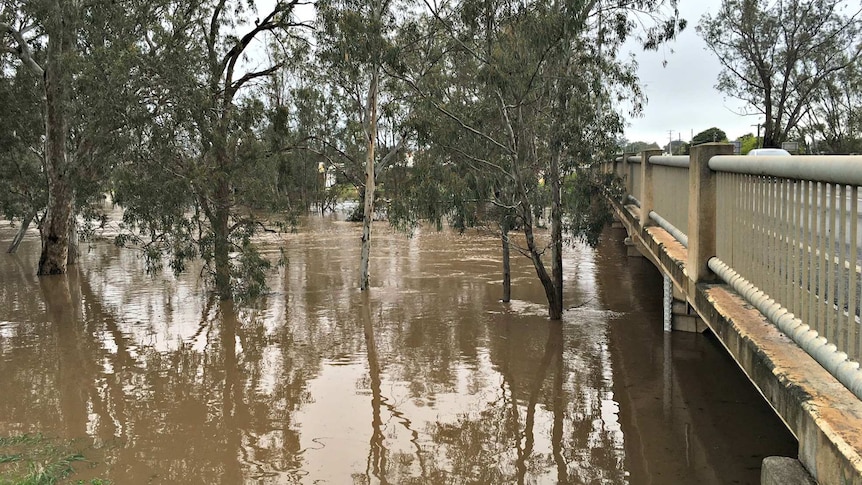 Water runs under a bridge.