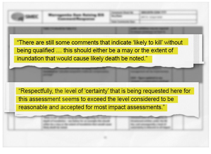 Excerpts show the ecologist was urged to replace the finding of 'likely to kill' with 'may' in the draft EIS.