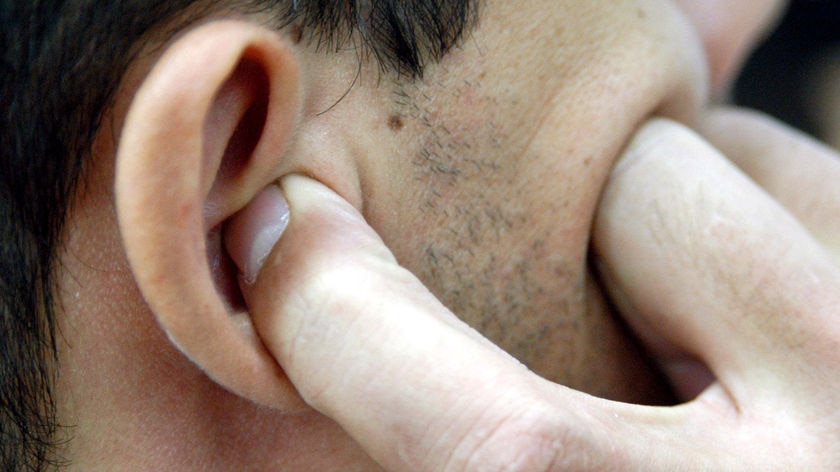 Singing, talking or chewing may activate tiny muscles in the ear to muffle loud sounds.