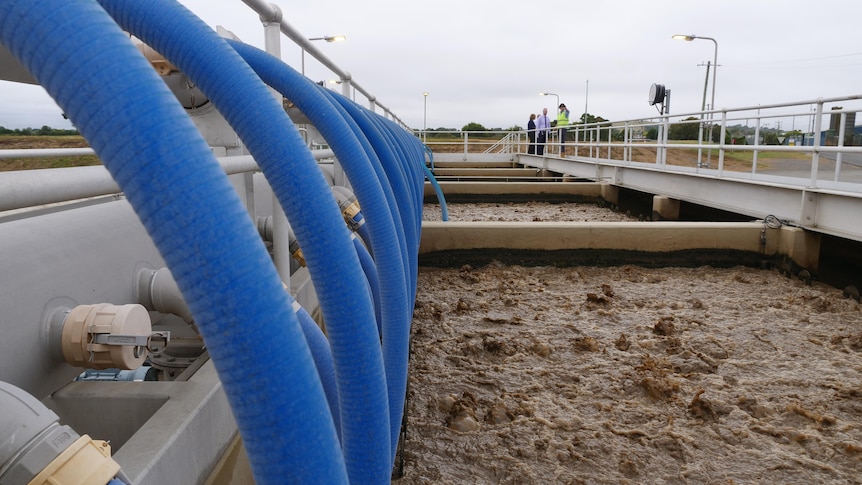 Pipes going into brown water