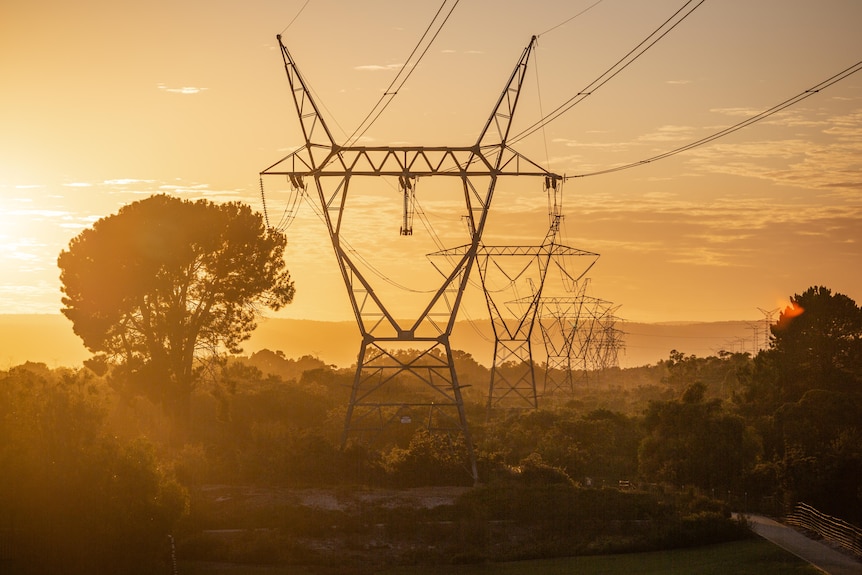 Las líneas eléctricas rodeadas de árboles y arbustos llenan el cielo del amanecer.