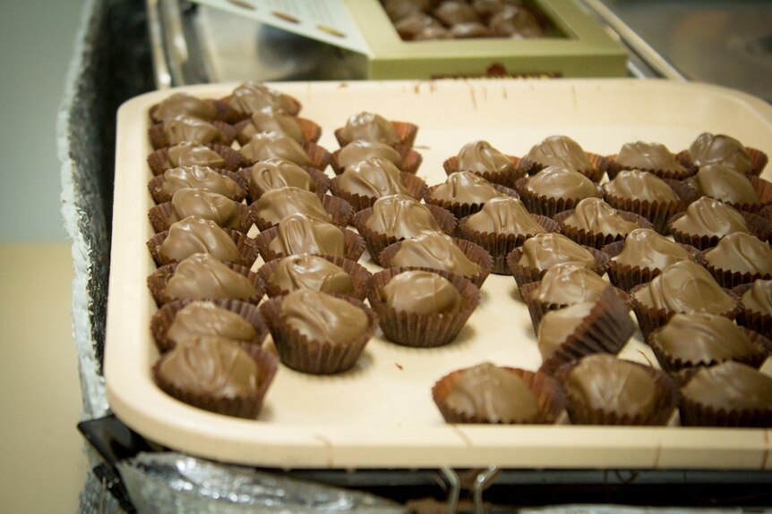 A tray of chocolates in brown paper wrappers.