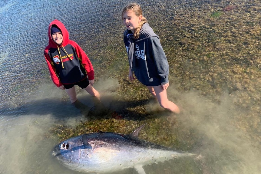 young boy and young girl standing in ankle deep water with half sub-merged tuna laying on its side 
