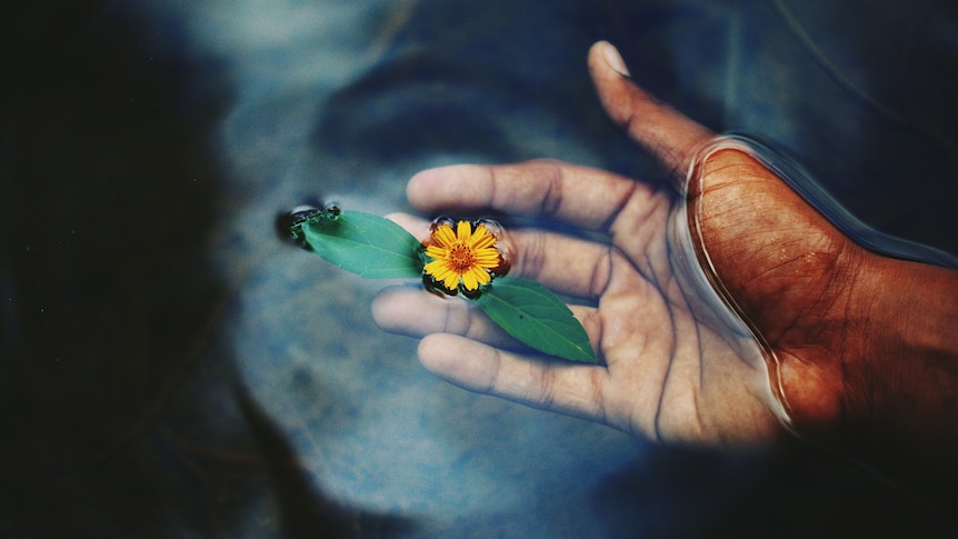 close up image of open palm holding yellow flower on water's surface