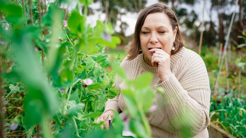 A woman in a beige knit sweater crouches down in a garden to eat a snow pea.