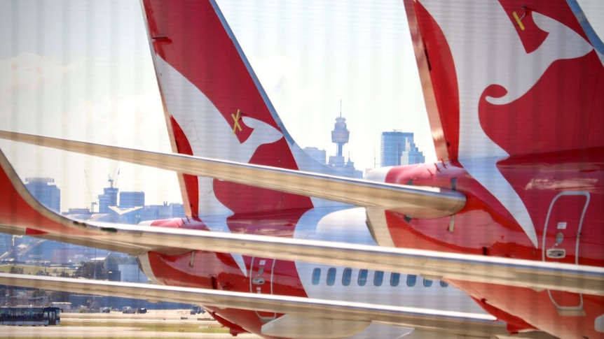 Qantas planes sit parked at Sydney Airport, with the city's skyline in the background.