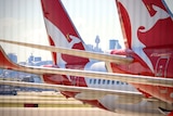 Qantas planes sit parked at Sydney Airport, with the city's skyline in the background.