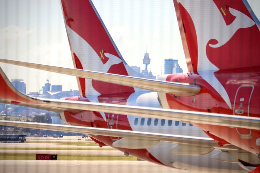 Qantas planes sit parked at Sydney Airport, with the city's skyline in the background.