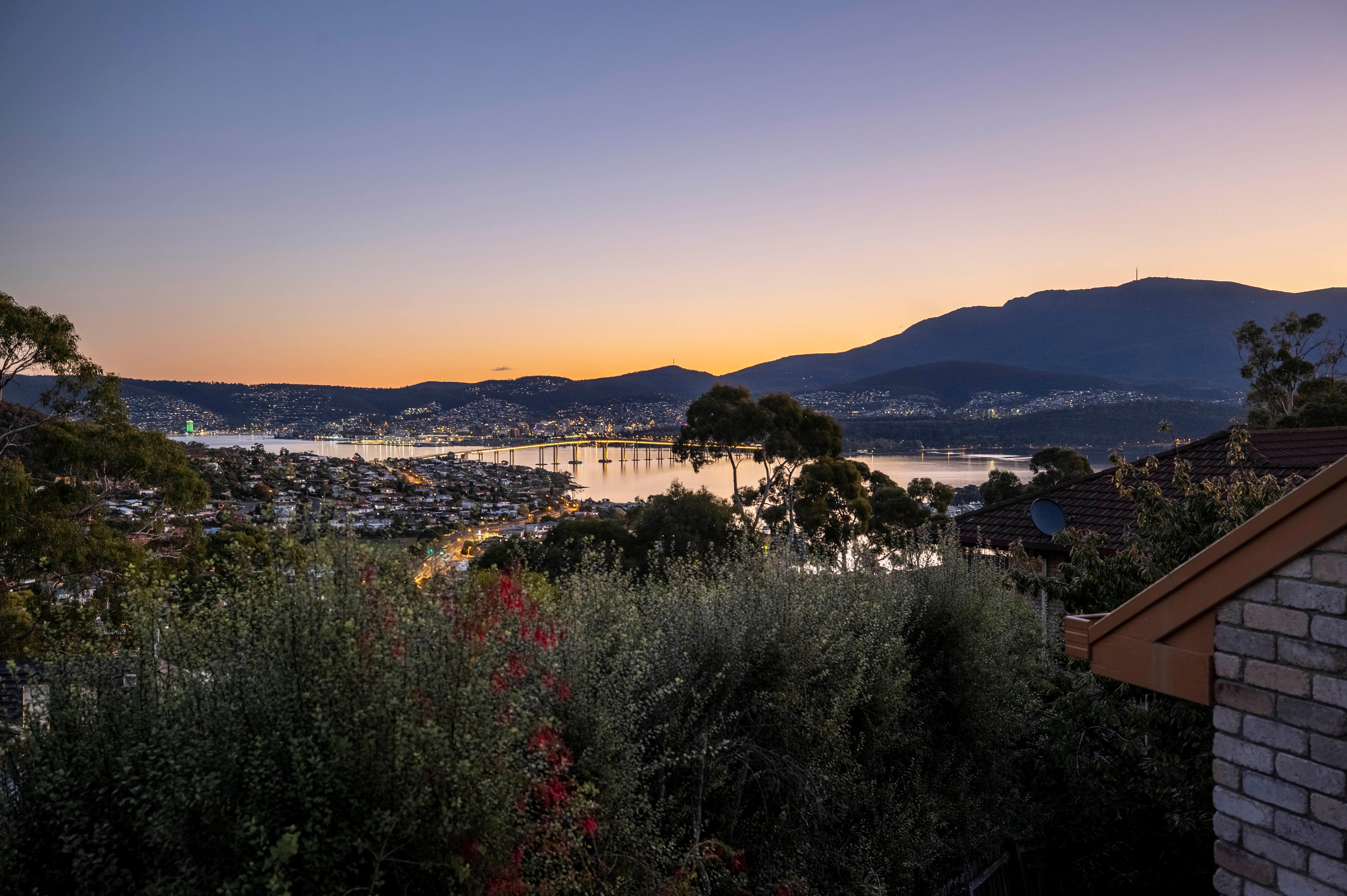 A city at dusk with trees in the foregoround