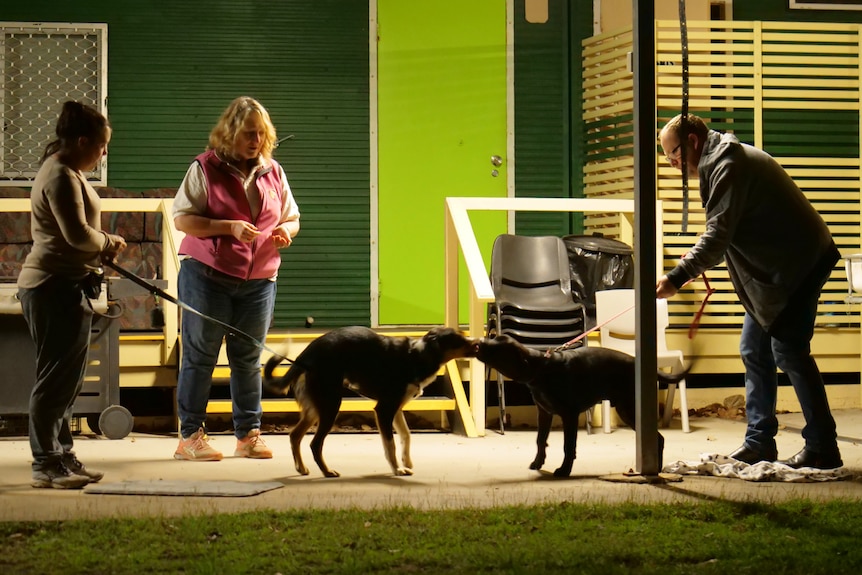 Three people standing up, two holding dogs who are interacting, shed, chairs and other items behind.