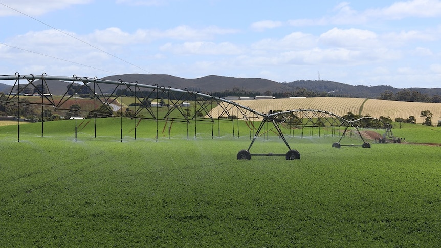 A centre pivot irrigator at work in northern Tasmania.