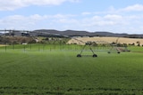 A centre pivot irrigator at work in northern Tasmania.