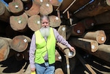 Director standing in front of logs at timber yard.