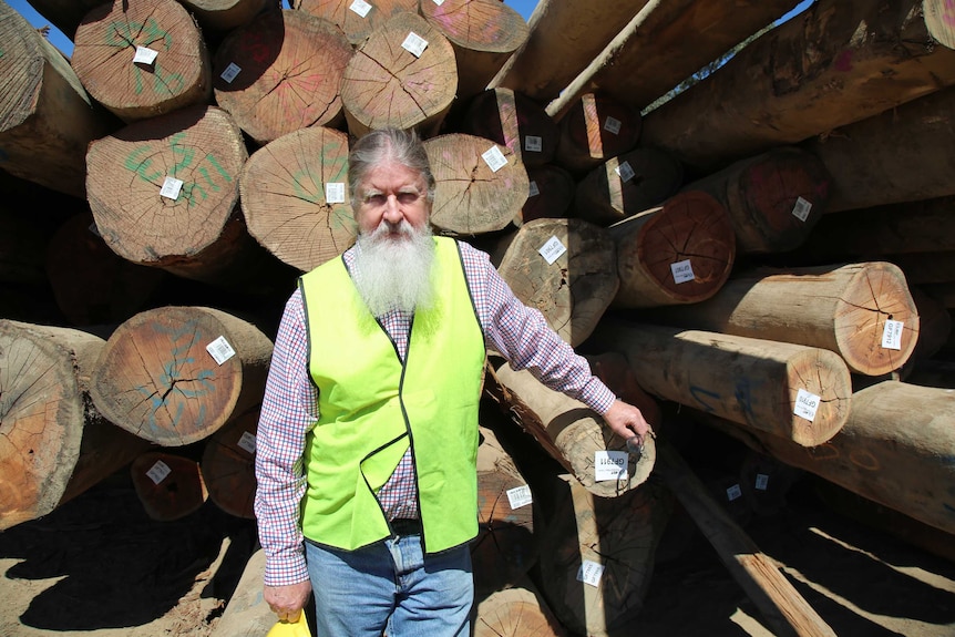 Director standing in front of logs at timber yard.