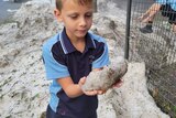 Young boy in school uniform holds chunk of hail bigger than his two hands. 