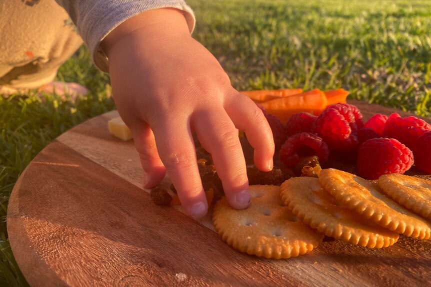 A toddlers small hand reaches for crackers, raspberries and carrots on a wooden board. it sits on green grass in the sun