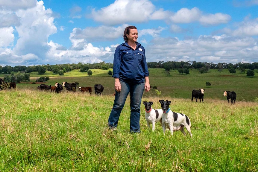 woman stands with two dogs on a field with rolling green hills in the background