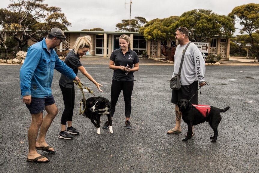 Four people and two dogs on leads meeting in a carpark.  