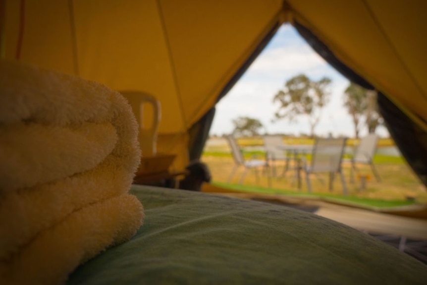 Inside a glamping tent, folded towels in the foreground on a bed, table and chairs outside with Gumtrees in background